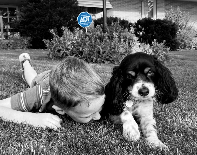 Child on the grass with his dog