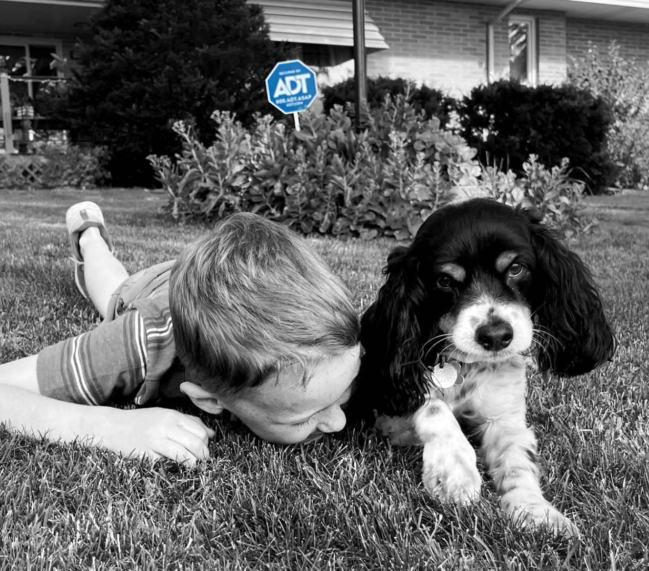 Niño tumbado en el césped junto a su perro, con un letrero de ADT en el jardín