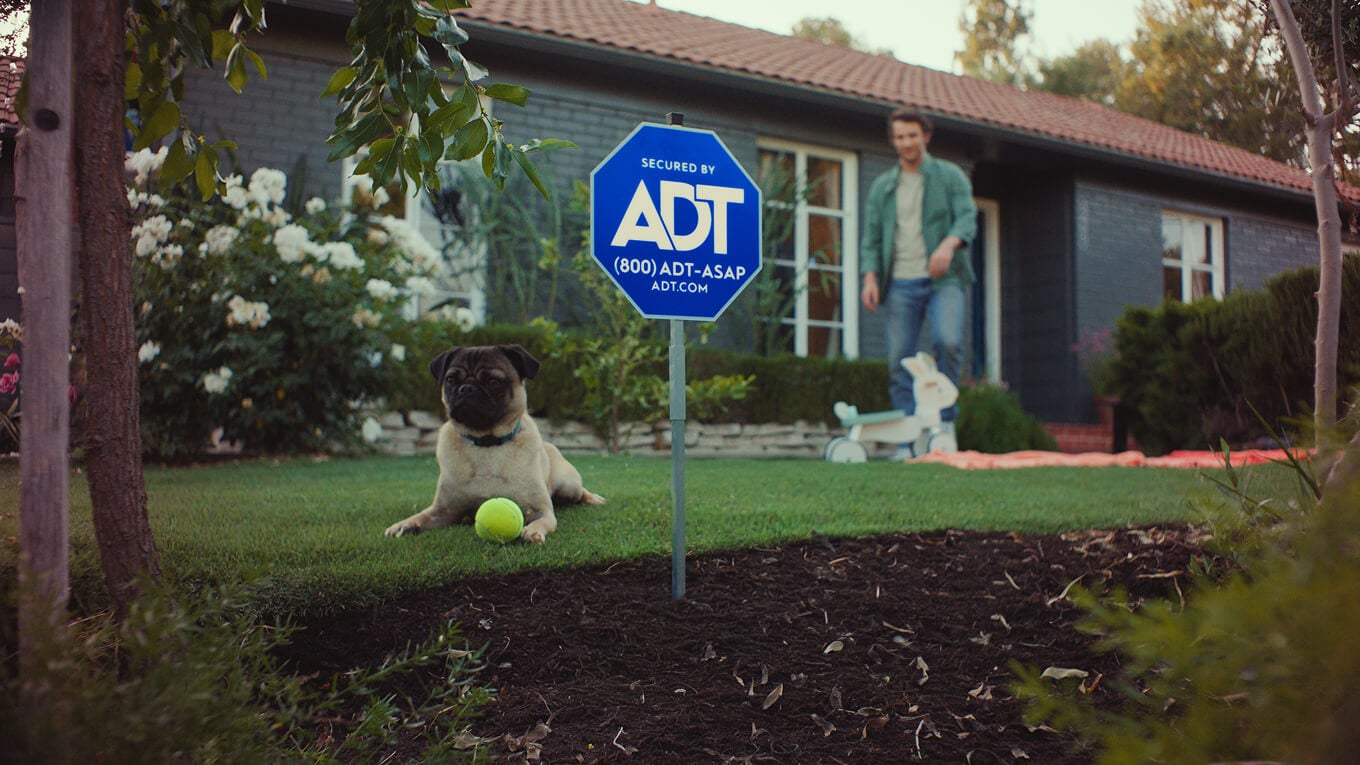 Child lying on the grass with his dog and an ADT sign in the grassp A dog lies in a front yard near an ADT yard sign while the homeowner picks up yard toys in the background.