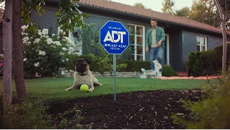 Child on the grass with his dog A dog lies in a front yard near an ADT yard sign while the homeowner picks up yard toys in the background.