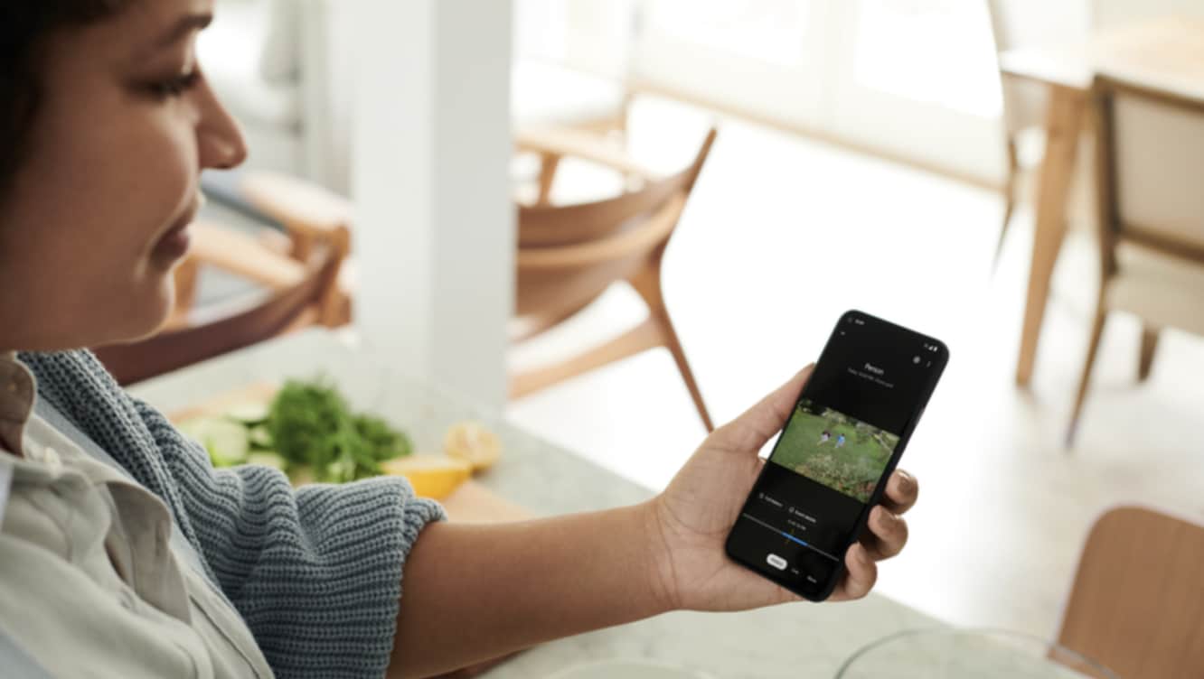 Someone viewing live footage of their backyard on the ADT+ app Someone viewing live footage of their backyard on the ADT+ app