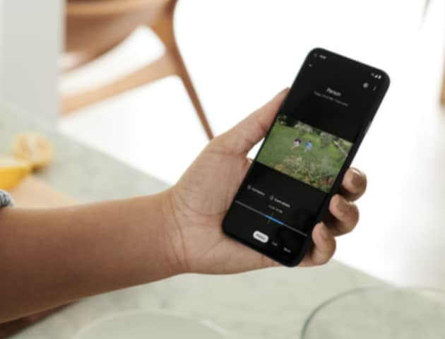 Someone viewing live footage of their backyard on the ADT+ app Someone viewing live footage of their backyard on the ADT+ app